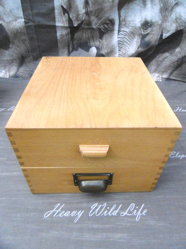 Holz karteikasten ordnen - 1, x